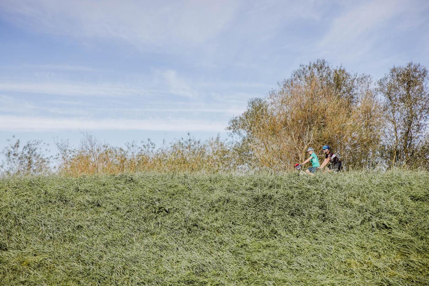 Scrab&Ble Ecologische Gastenkamers Bornem Luaran gambar